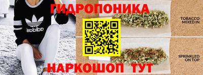 марихуана Будённовск