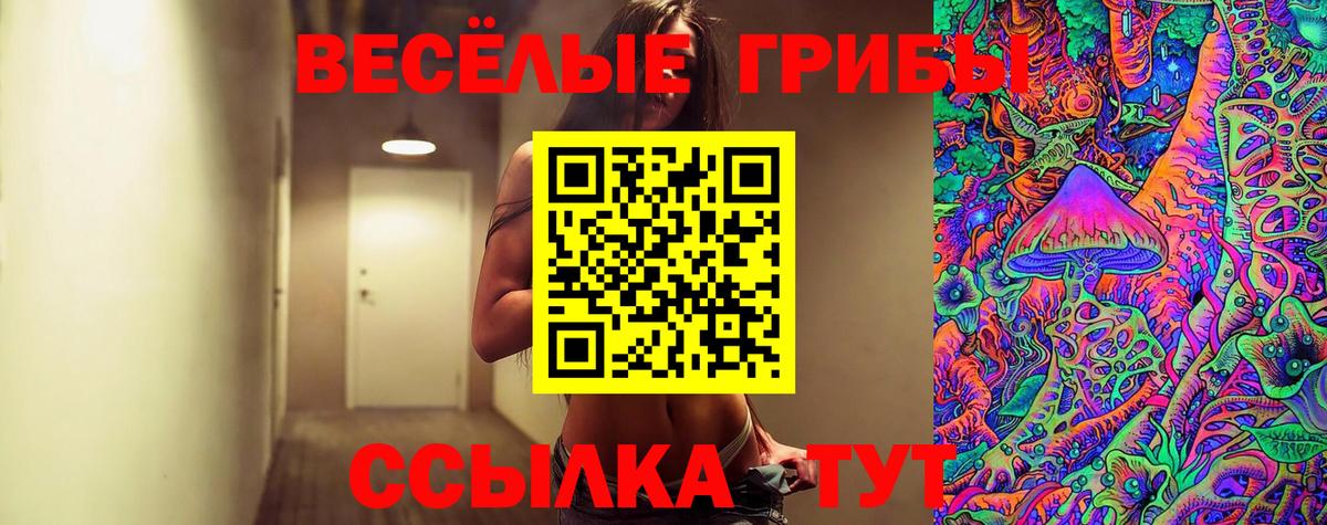 Северобайкальск  Галлюциногенные грибы GOLDEN TEACHER  Вход с VPN 